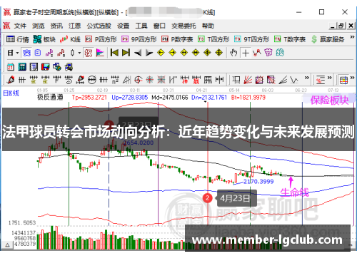 法甲球员转会市场动向分析：近年趋势变化与未来发展预测