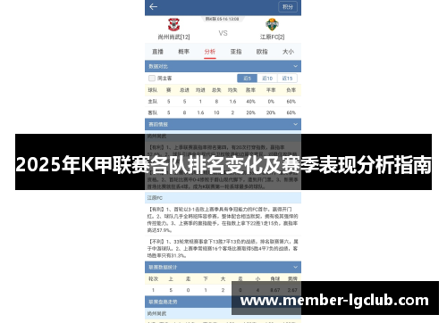 2025年K甲联赛各队排名变化及赛季表现分析指南