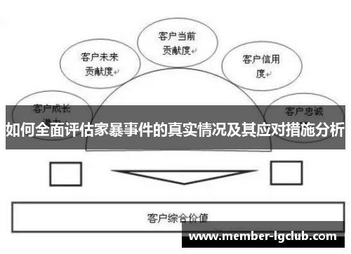 如何全面评估家暴事件的真实情况及其应对措施分析