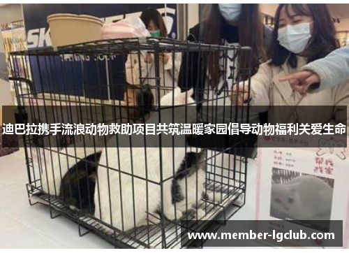 迪巴拉携手流浪动物救助项目共筑温暖家园倡导动物福利关爱生命 迪巴拉携手流浪动物救助项目共筑温暖家园倡导动物福利关爱生命