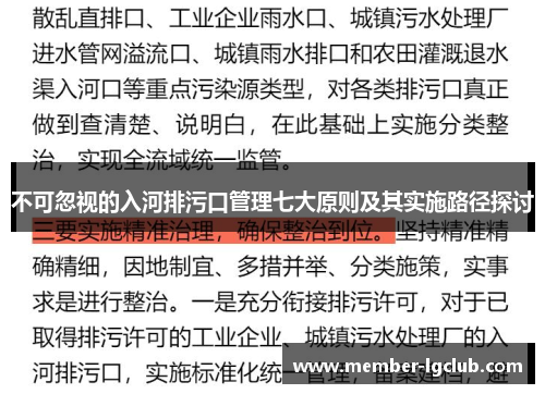 不可忽视的入河排污口管理七大原则及其实施路径探讨