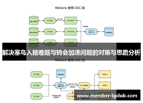 解决塞鸟入籍难题与转会加速问题的对策与思路分析 解决塞鸟入籍难题与转会加速问题的对策与思路分析
