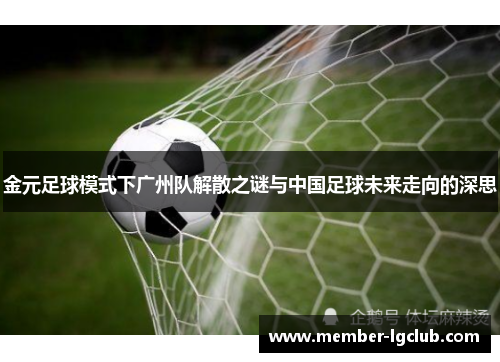 金元足球模式下广州队解散之谜与中国足球未来走向的深思