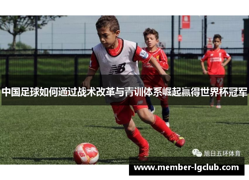 中国足球如何通过战术改革与青训体系崛起赢得世界杯冠军