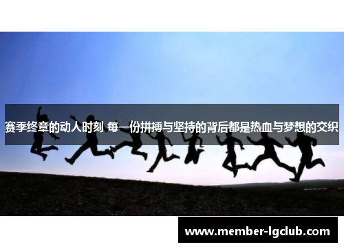 赛季终章的动人时刻 每一份拼搏与坚持的背后都是热血与梦想的交织