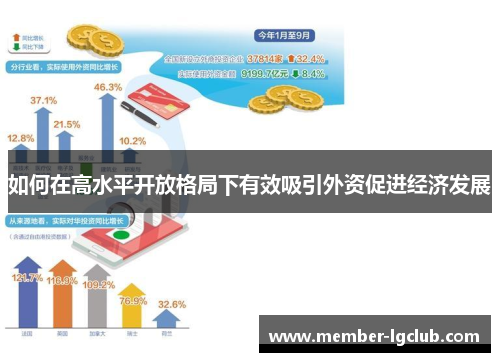 如何在高水平开放格局下有效吸引外资促进经济发展